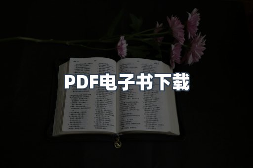PDF电子书下载